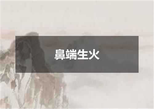鼻端生火