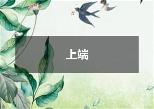 上端