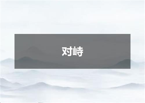 对峙