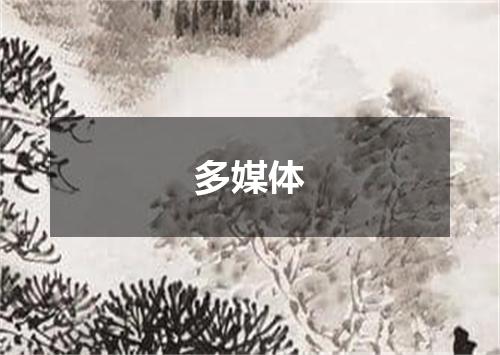 多媒体