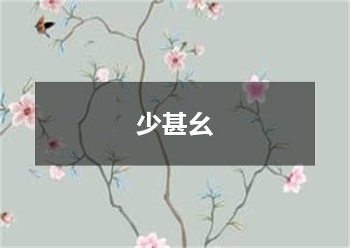 少甚幺