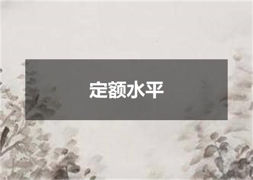 定额水平