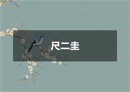 尺二圭