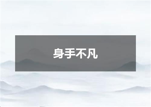 身手不凡