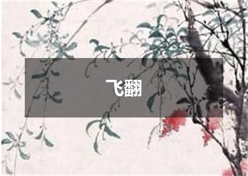 飞翻