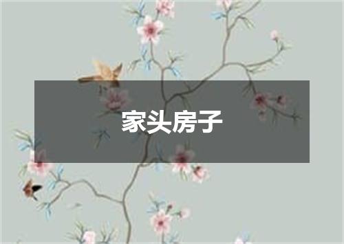 家头房子