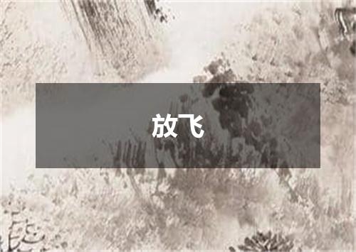 放飞