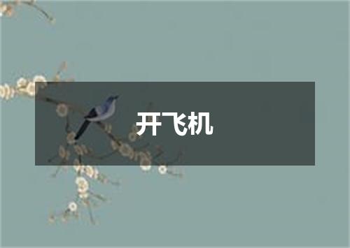 开飞机