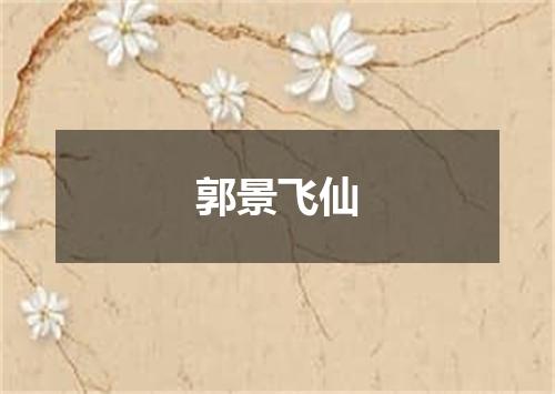 郭景飞仙