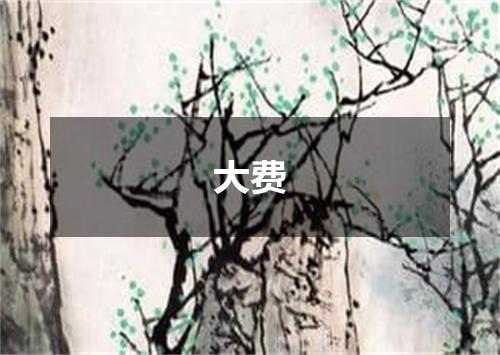 大费