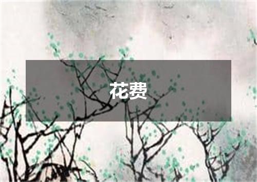 花费