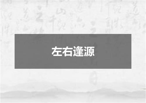 左右逢源