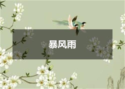 暴风雨
