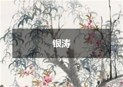 银涛