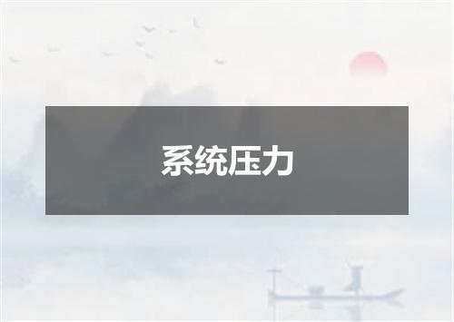系统压力