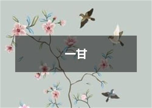 一甘