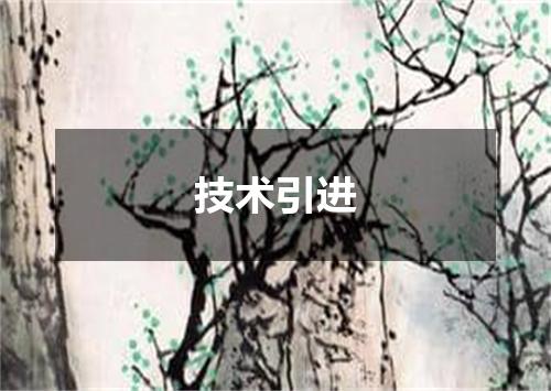 技术引进