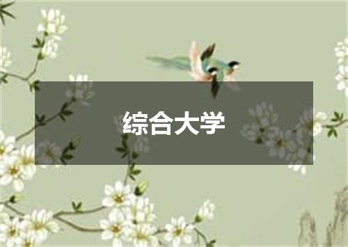 综合大学
