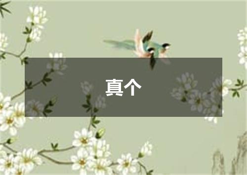 真个