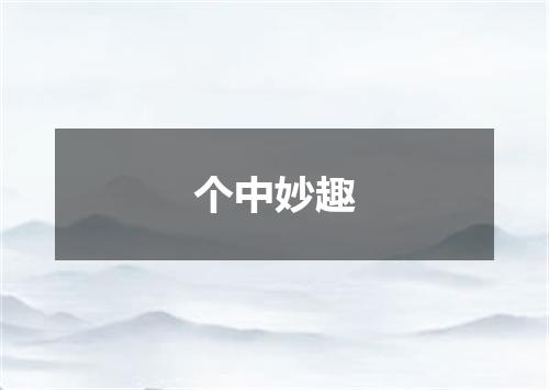 个中妙趣
