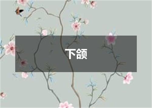 下颌