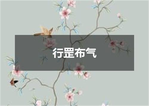 行罡布气