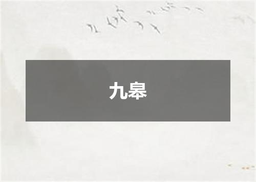 九皋