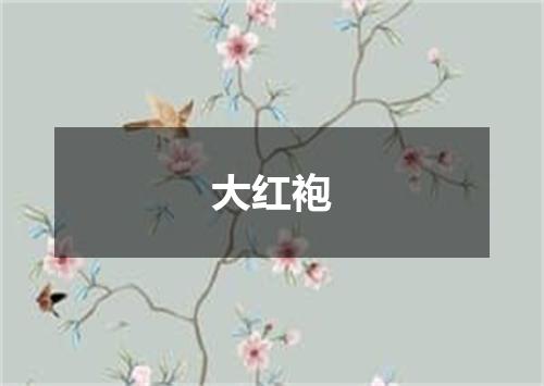 大红袍