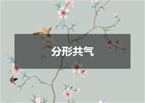 分形共气