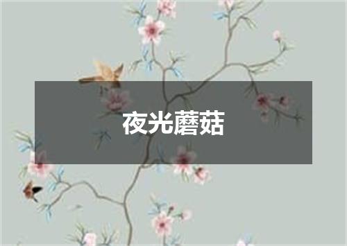 夜光蘑菇