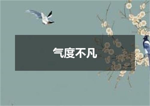 气度不凡