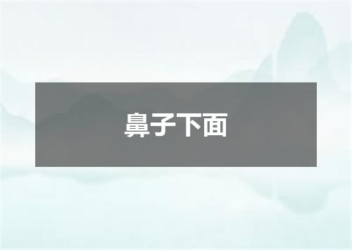 鼻子下面