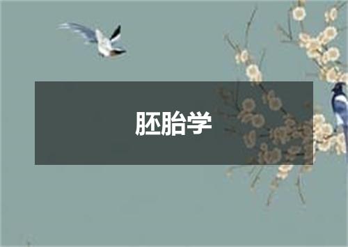 胚胎学