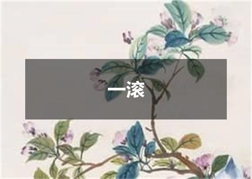 一滚