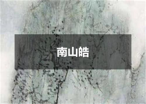 南山皓