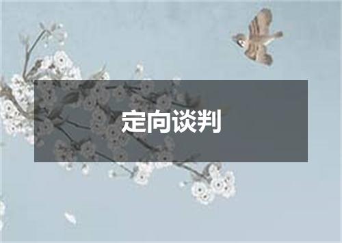 定向谈判