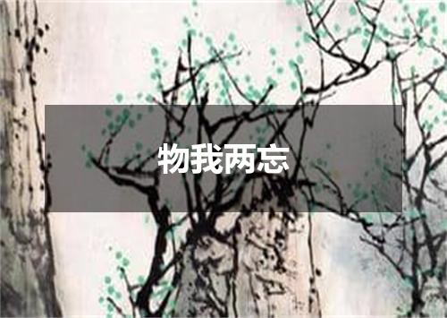 物我两忘