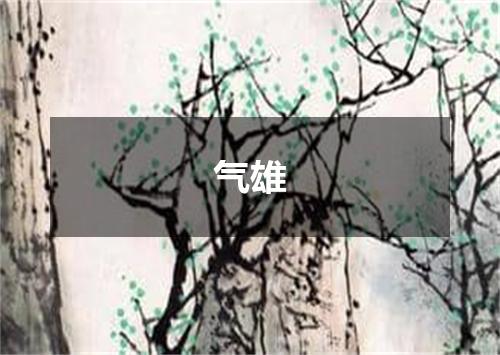 气雄