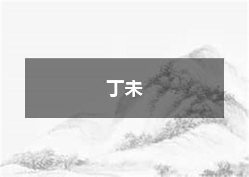 丁未