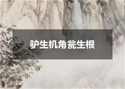 驴生机角瓮生根