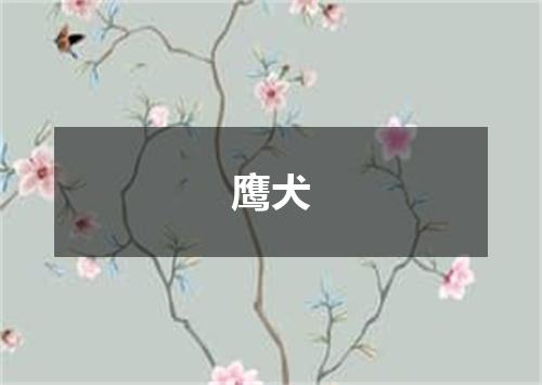 鹰犬