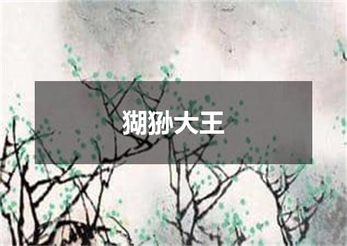 猢狲大王