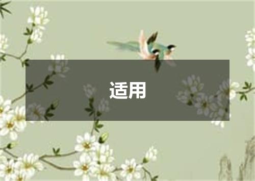 适用