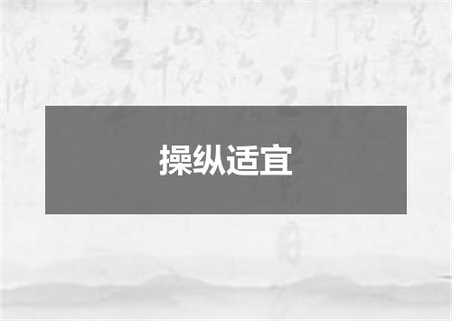 操纵适宜