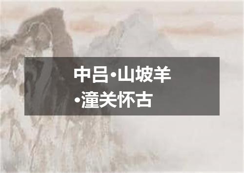 中吕·山坡羊·潼关怀古