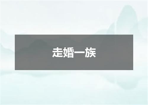 走婚一族