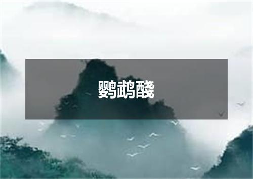 鹦鹉醆