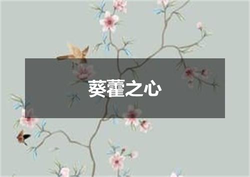 葵藿之心