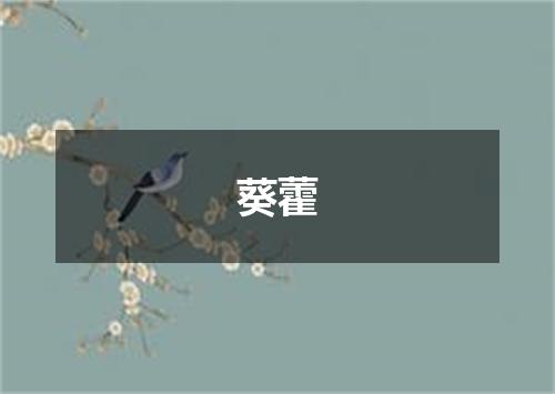 葵藿