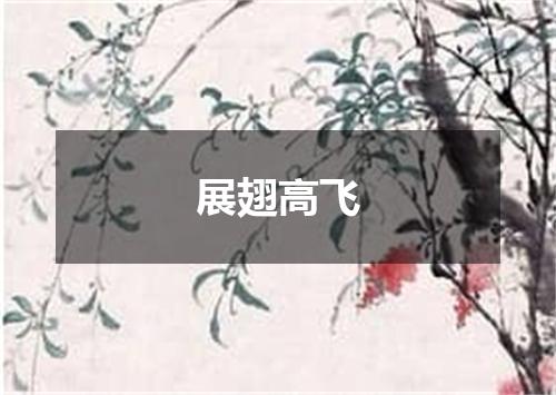 展翅高飞
